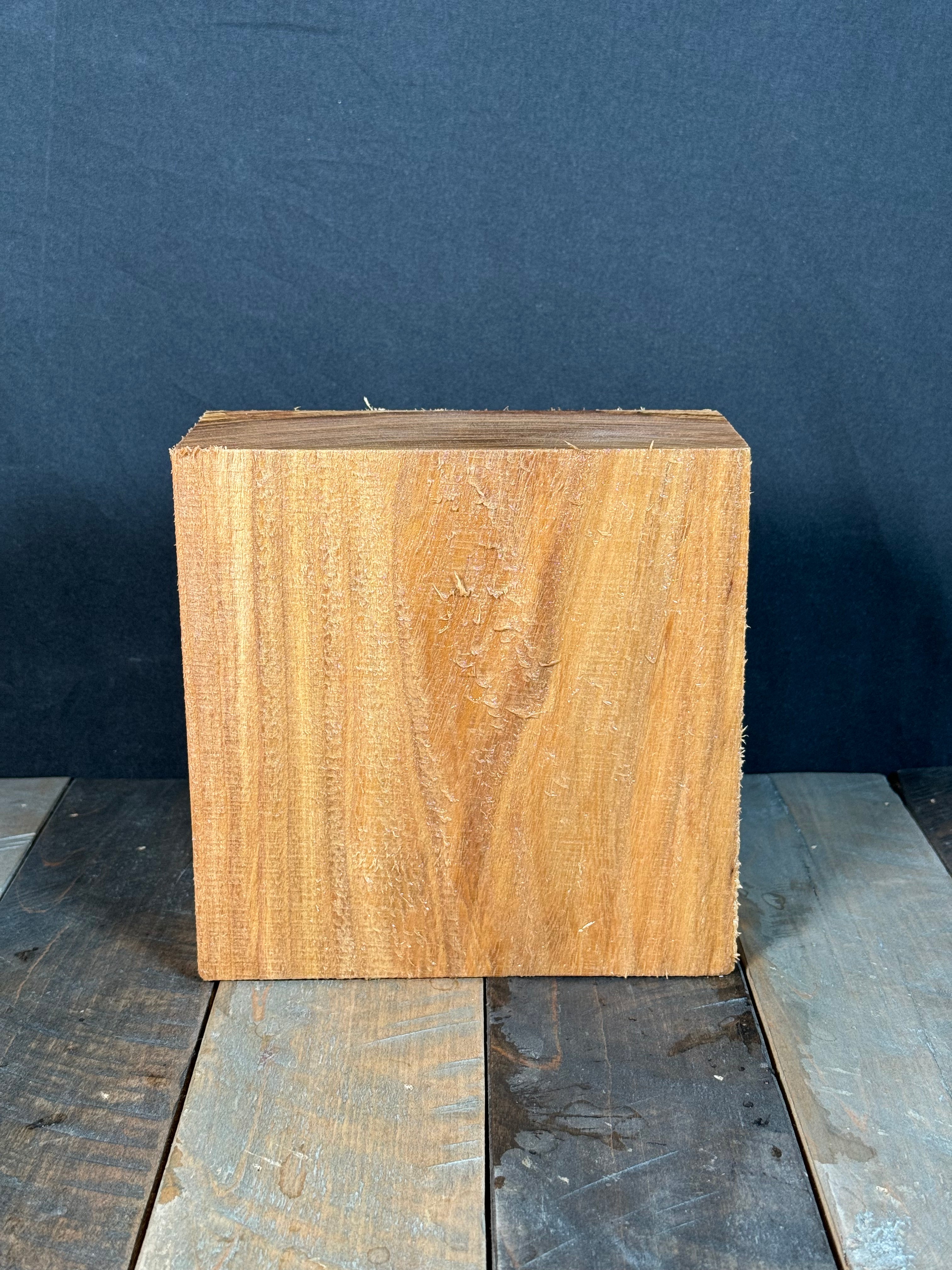 7”x7”x3” Red Elm Turning Blank