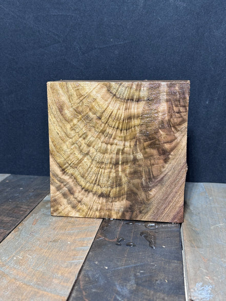 5 Burly Walnut Turning Blanks