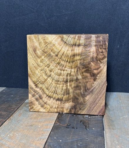 5 Burly Walnut Turning Blanks