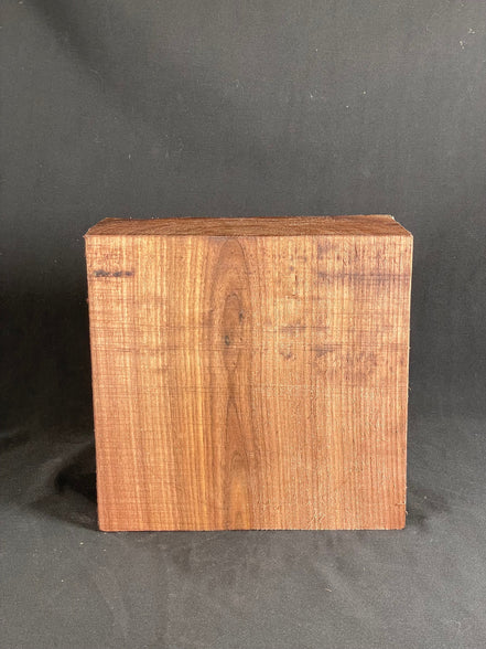 8”x8”x3” Indiana Black Walnut Bowl DIY Turning Blank Lathe Turning